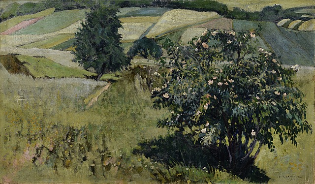 Krzew dzikiej róży [Pejzaż letni], 1910