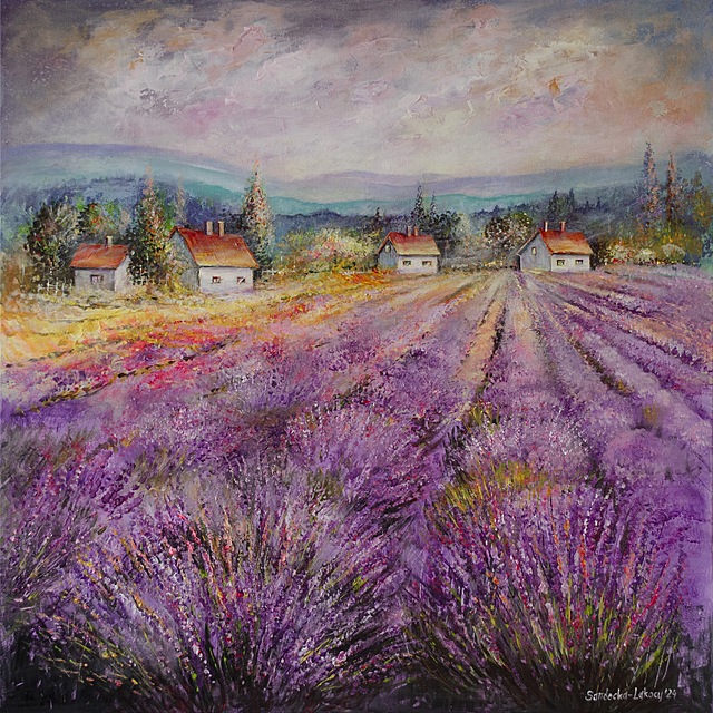 Lavender Fields, 2024