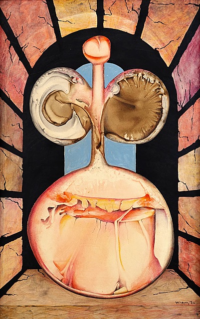 Anatomia Venus, 1970