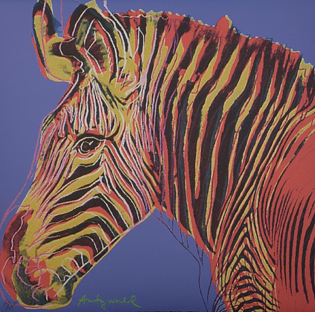 Zebra Grevy'ego 