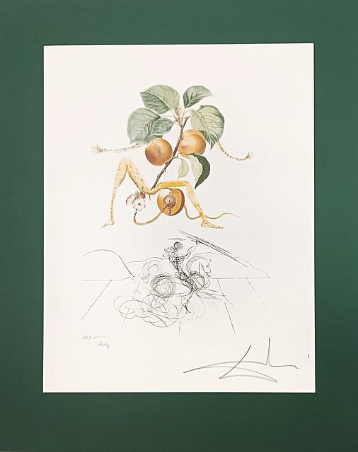 Abricot Chevalier z cyklu Flordali - Les Fruits, 1969