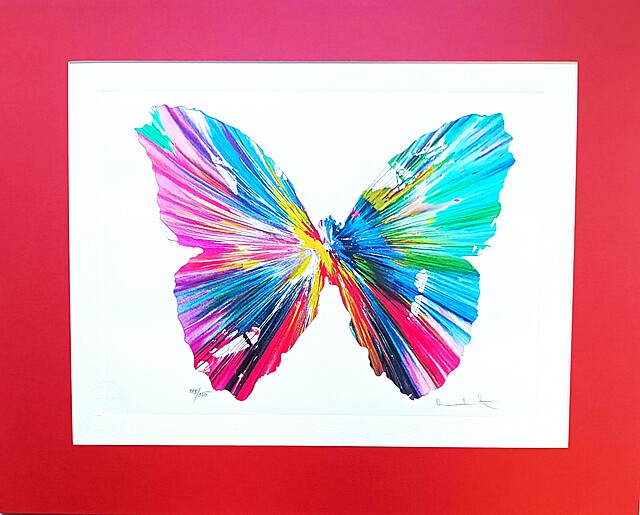 Butterfly Spin