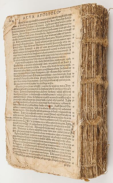 BIBLIA LEOPOLITY (Szarffenbergerowska), Polska, Kraków, 1577