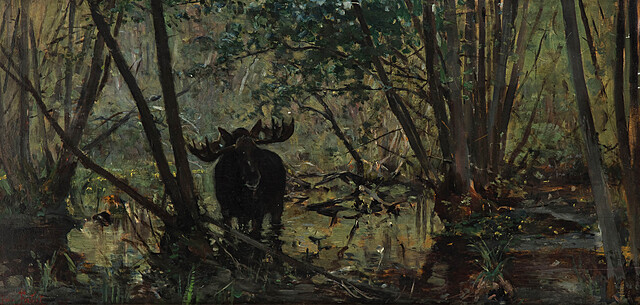 Łoś na bagniskach, 1897 r.