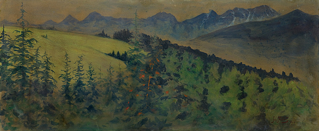 WIDOK GÓRSKI, 1910