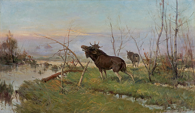 ŁOŚ NA MOKRADŁACH, 1927