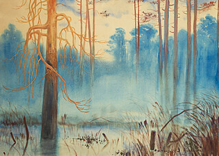 Mgły leśne,  1918 r.