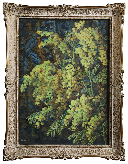 Martwa natura z mimozami