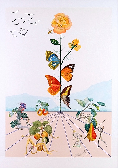 La rose papillon, 1981 r.