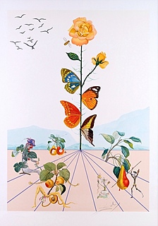 La rose papillon, 1981 r.