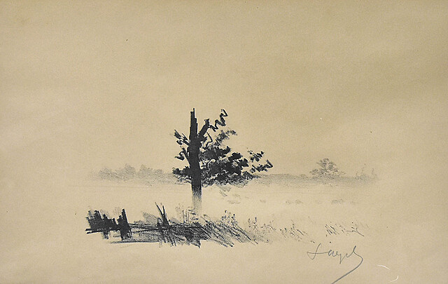 "Złamana sosna we mgle", 1907