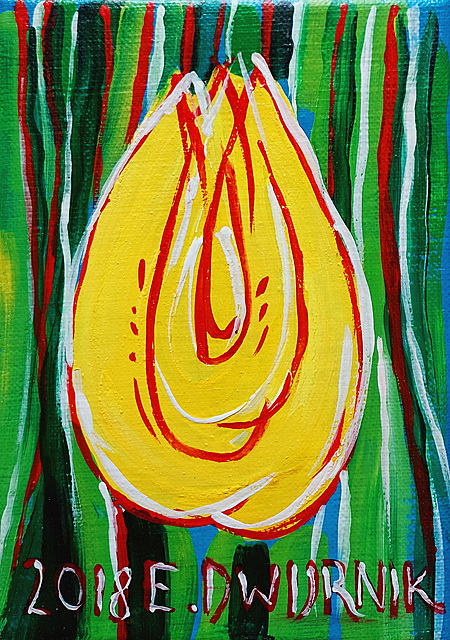 Tulipan, 2018