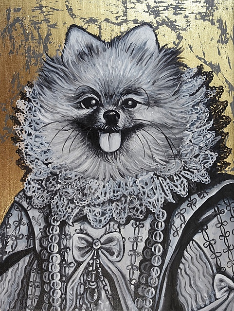 Pomeranian, 2023