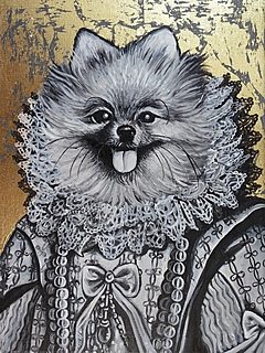 Pomeranian, 2023