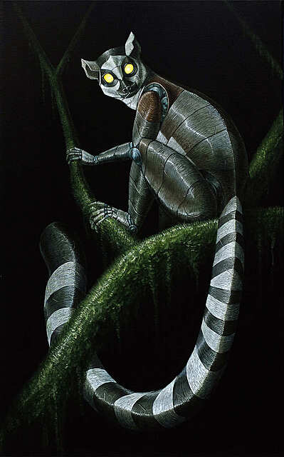 Lemur katta, 2025