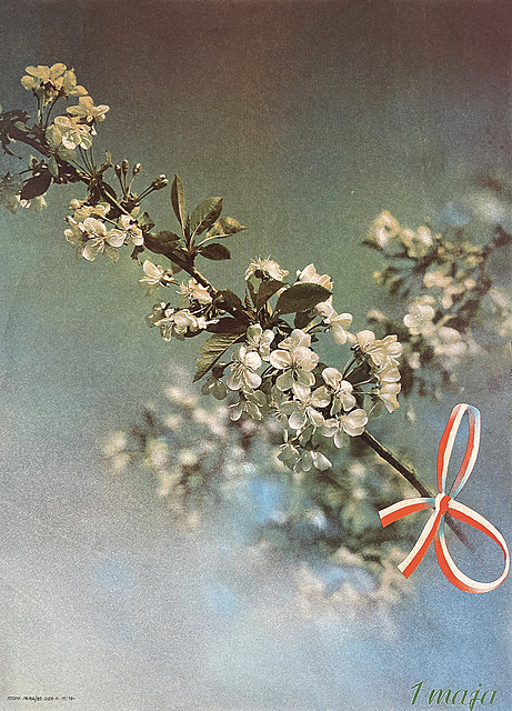 1 maja, 1989 (większy format)