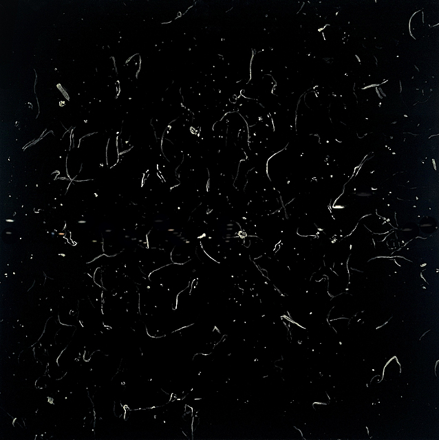 Nano 01, 2024