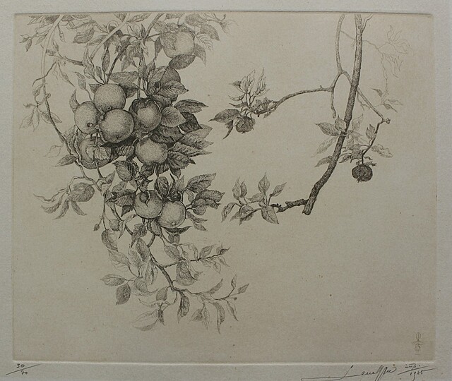 Dwie gałązki jabłoni (z teki „Styl i warsztat. Teka 10 łódzkich artystów grafików”, 1985)