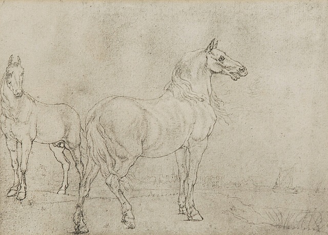 Paulus POTTER (1625-1654) - według