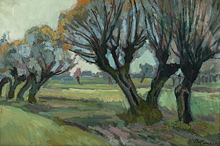 Wierzby