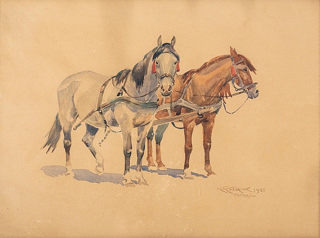 Konie, 1953 r.