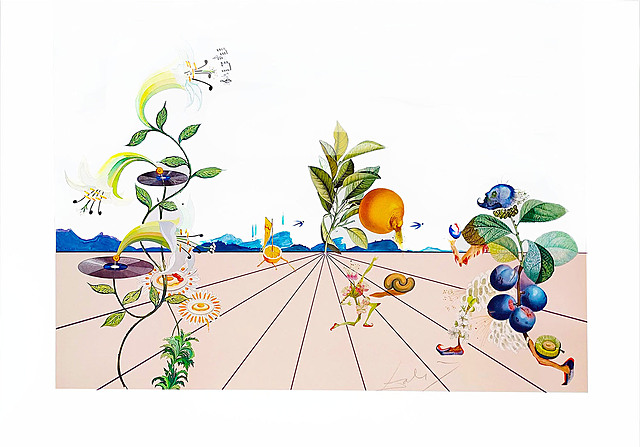 Pamplemousse Érotique z cyklu Flordali - Les Fruits