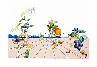 Pamplemousse Érotique z cyklu Flordali - Les Fruits