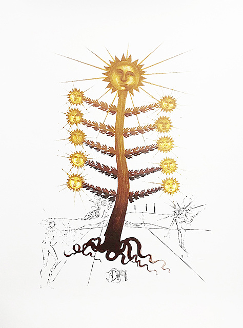 Flordali : Helianthus Solifer (Sun)