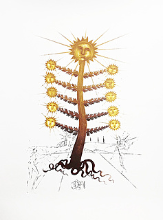 Flordali : Helianthus Solifer (Sun)