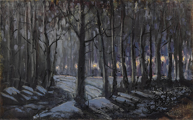 Park nocą
