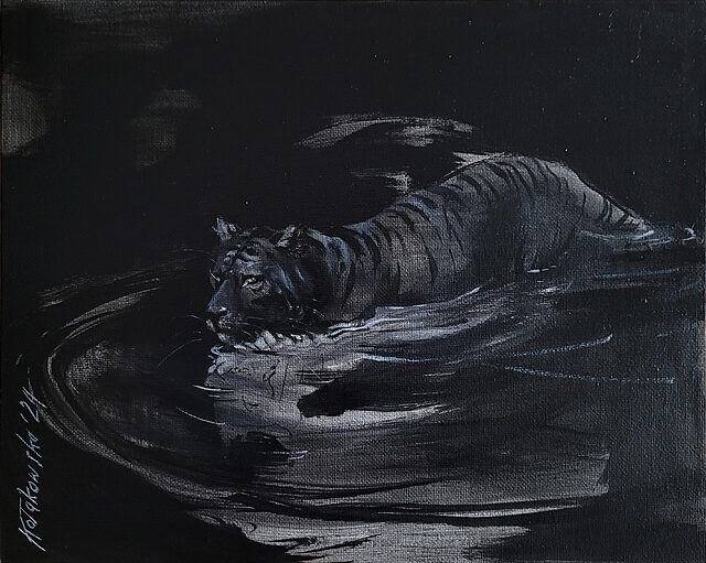 Asian Tiger, 2024 