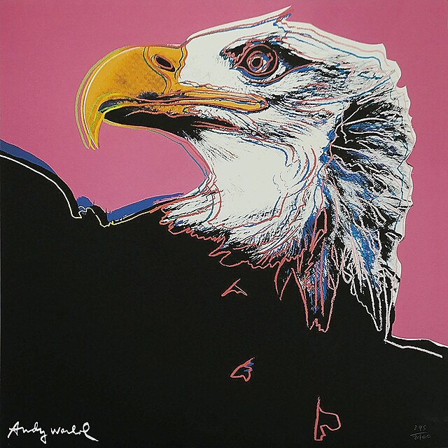 Bald Eagle z cyklu "Zagrożone gatunki"