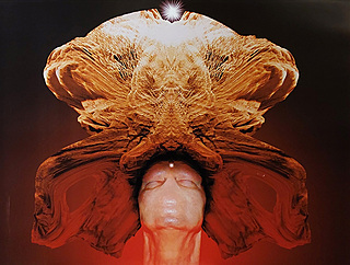 Bez tytułu (#11), 2000