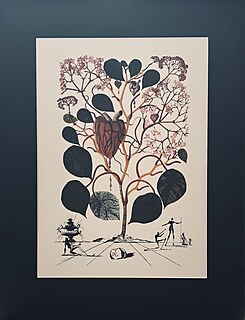 Z serii Flordali: Le Begonia