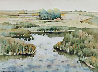 CHEŁMSZCZYNA – ZARASTAJĄCY STAW, 2008
