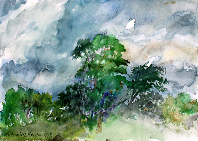 Okolice Otwocka - chłodny dzień, 2012