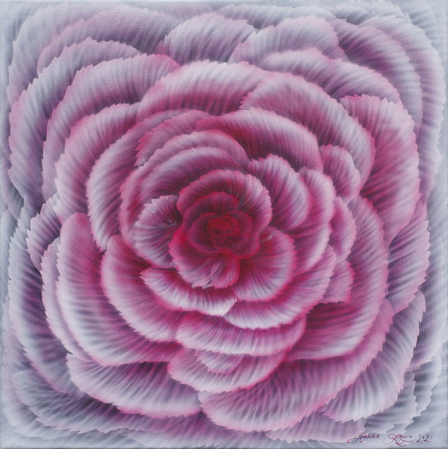 Dianthus, 2021