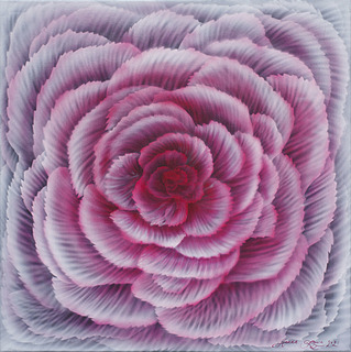 Dianthus, 2021