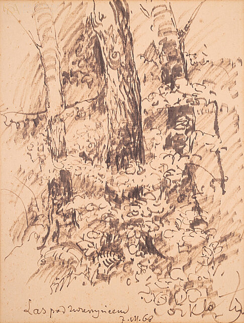 Las pod Zwierzyńcem (1968)