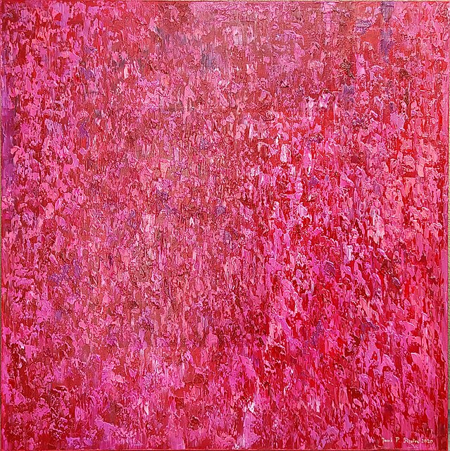 Wild Rose, 2020