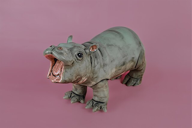 Hipopotam pigmejski, 2025