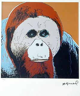 Orangutan, z serii "Zagrożone gatunki"