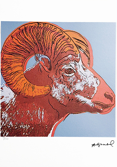 Bighorn Ram, z serii "Zagrożone gatunki"
