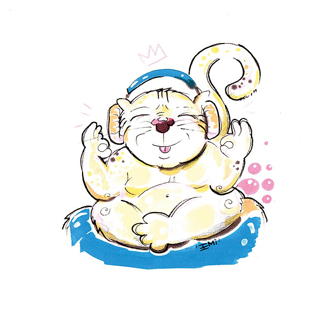 Muzyczny kocur, 2025