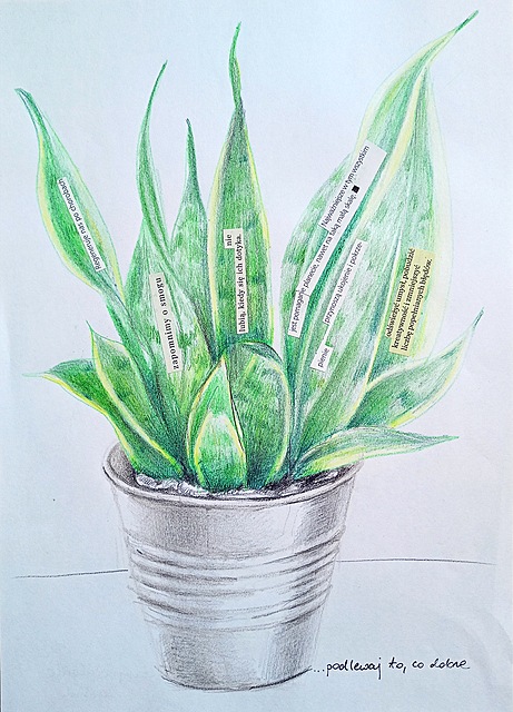 Podlewaj to, co dobre, 2025