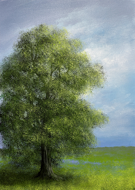  W cieniu spokoju III, 2025