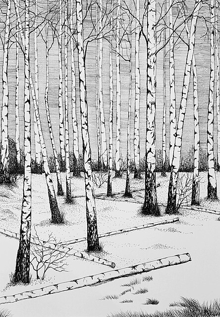 Wspomnienie obrazu z pamięci, 2024