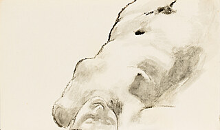 Akt kobiety leżącej na plecach