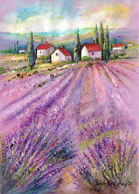 Lavender Provence, 2026