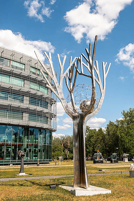 Drzewo pełne nadziei, 2025